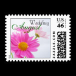 August Wedding Daisy Postage Stamp