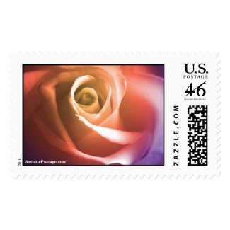 August Wedding Rose Postage Stamp stamp