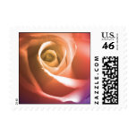 August Wedding Rose Small Postage Stamp