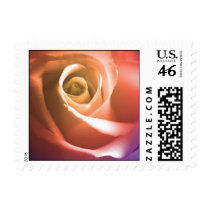 August Wedding Rose Small Postage Stamp