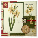 ceramic tiles, flower, botanical, gladiolus,