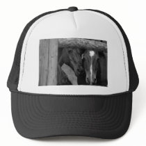 augustus_sylvia_WY horse 1 Mesh Hats