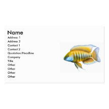Aulonocara African Cichlid Business Card