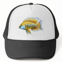 Aulonocara jacobfreibergi Trucker Hat by twopurringcats Aulonocara jacobfreibergi Trucker Hat