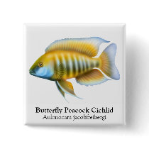 Aulonocara jacobfriebergi Cichlid Pin buttons by twopurringcats Aulonocara jacobfriebergi Cichlid Pin buttons