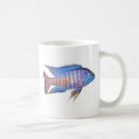 Aulonocara sp. "peacock" mugs by Lisachromis Aulonocara sp. "peacock" mugs