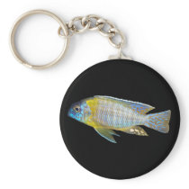 Aulonocara steveni keychain