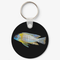 Aulonocara steveni keychain by Lisachromis Aulonocara steveni keychain