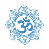 ' AUM '