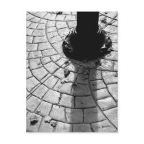 Aumumn Leaves on the Sidewalk postcards