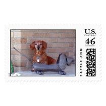 Auncha w/ figurine postage by hotphotoz Auncha w/ figurine postage