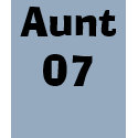 Aunt 07 t-shirts