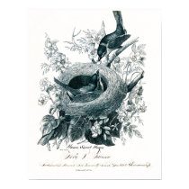 Aunt Abby's Birds Sketch posters