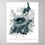 Aunt Abby's Birds Sketch posters