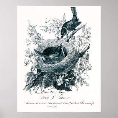 Aunt Abby's Birds Sketch Poster by diane_evelyn