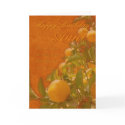 Aunt Happy Birthday Spanish Orange Tree, burnt ora cards