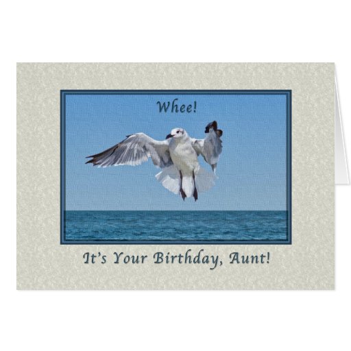 laughing gull birthday card