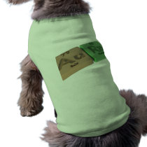 Aura as Gold Au and Radium Ra Pet Tee