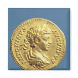 Aureus  with head of Carcalla  grapes Refrigerator Magnet