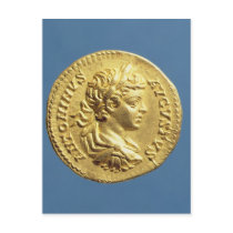 Aureus  with head of Carcalla  grapes Postcards