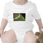 Aurora Australis from International Space Station Shirts