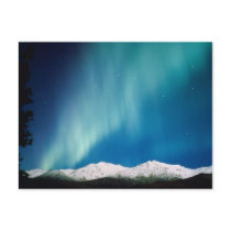 Aurora Borealis, Alaska Postcard