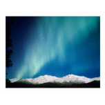 Aurora Borealis, Alaska Postcard