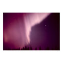 Aurora Borealis in Alaska posters