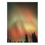 Aurora Borealis, Northern Lights, Fairbanks Post Cards