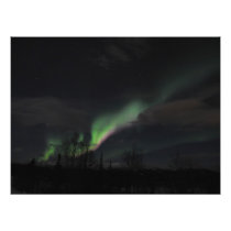 Aurora Borealis Purple and Green Photographic Print