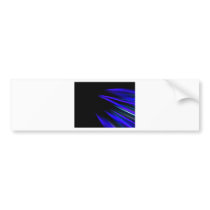 Aurora Bumper Sticker