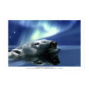 AURORA DREAMING Art Poster posters by WILDERNESS_SHOP AURORA DREAMING Art Poster posters