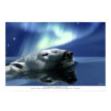 "AURORA DREAMING" Poster Print