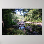 AuSable river in the Adirondack. print 135