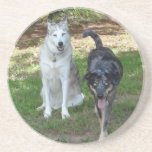 Ausky Dog and Catahoula Leopard Dog Friends Coasters