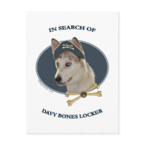 Ausky Dog Davy Bones Post Card