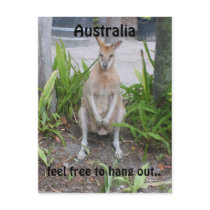 Aussie Boy, postcard