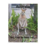 Aussie Boy, postcard