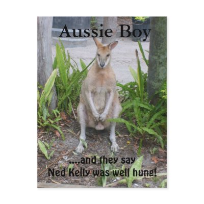 Aussie Boy, postcard by BrendasPlace