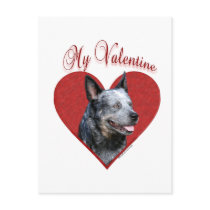 Aussie Cattle Dog My Valentine Post Card