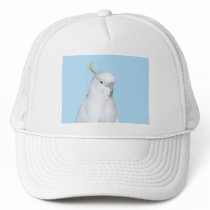 Aussie Cockatoo Cap hats