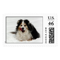 Aussie Dog Tongue Stamp