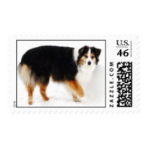 Aussie in the snow stamps