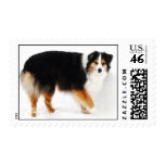 Aussie in the snow postage