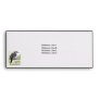Aussie Laughing Kookaburra Envelopes