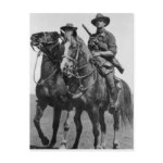 Aussie Light Horse Post Cards