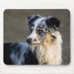 Aussie Looking Left Mousepad