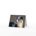 Aussie Looking Left Note Cards
