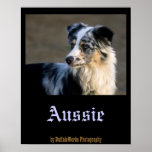 Aussie Looking Left Poster