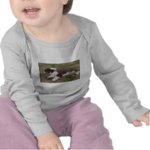 aussie puppy sleeping t-shirt